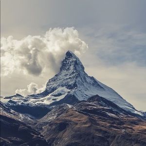 Meet your Posher, Riley